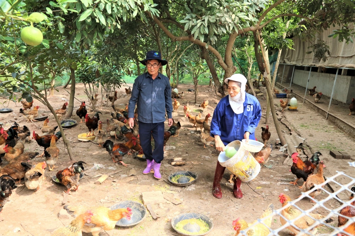 Chung sức xây dựng quê hương giàu đẹp, văn minh