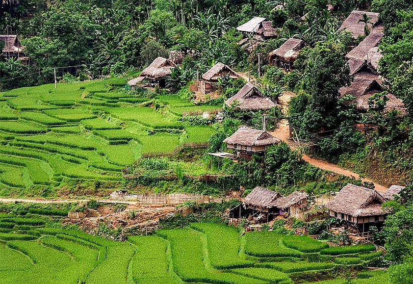 Con chim quý của núi rừng Tôi đọc Luận án tiến sĩ Sử học “Thiết chế bản - mường của người Thái ở miền Tây Nghệ An”