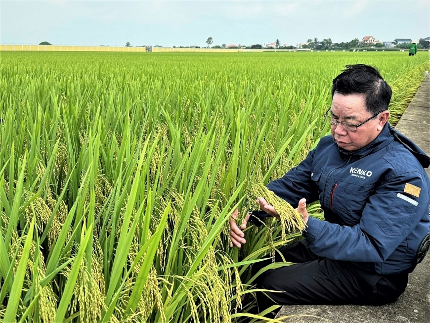 Già hóa dân số và kinh tế bạc: Khoảng trống thể chế trước một động lực tăng trưởng mới