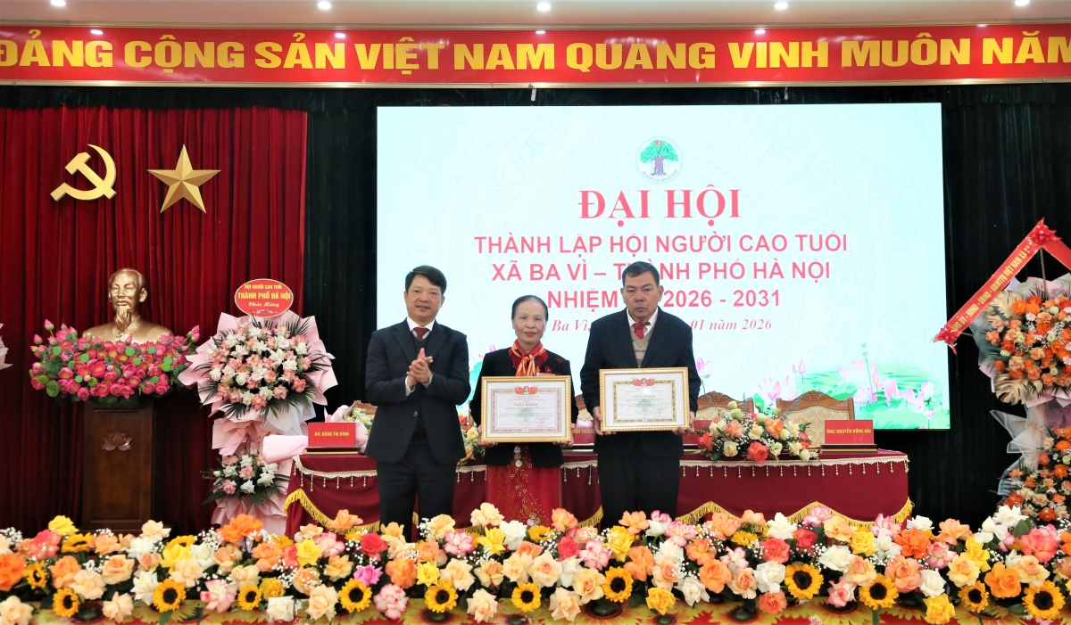 Kiện toàn tổ chức, phát huy vai trò NCT trong giai đoạn mới Kiện toàn tổ chức, phát huy vai trò NCT trong giai đoạn mới