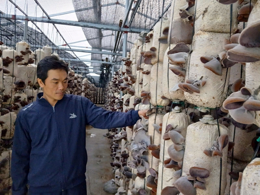 Nông thôn mới khoác “áo đẹp” cho làng quê xứ Thanh