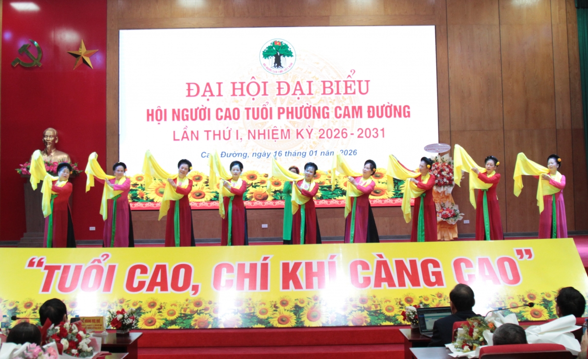 Tăng cường công tác người cao tuổi thích ứng với già hóa dân số Tăng cường công tác người cao tuổi thích ứng với già hóa dân số