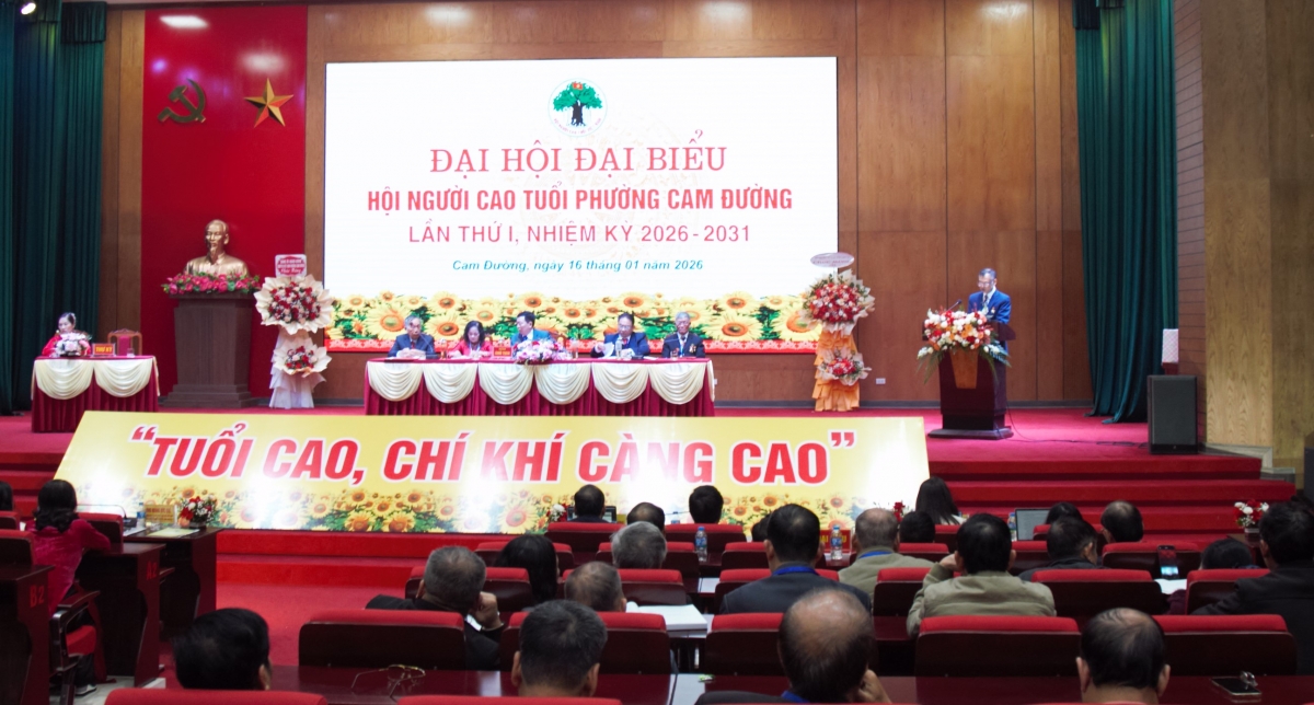 Tăng cường công tác người cao tuổi thích ứng với già hóa dân số Tăng cường công tác người cao tuổi thích ứng với già hóa dân số