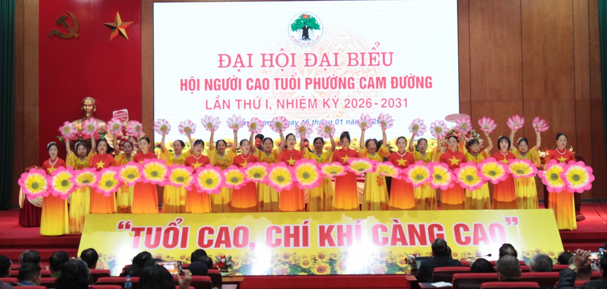 Tăng cường công tác người cao tuổi thích ứng với già hóa dân số Tăng cường công tác người cao tuổi thích ứng với già hóa dân số