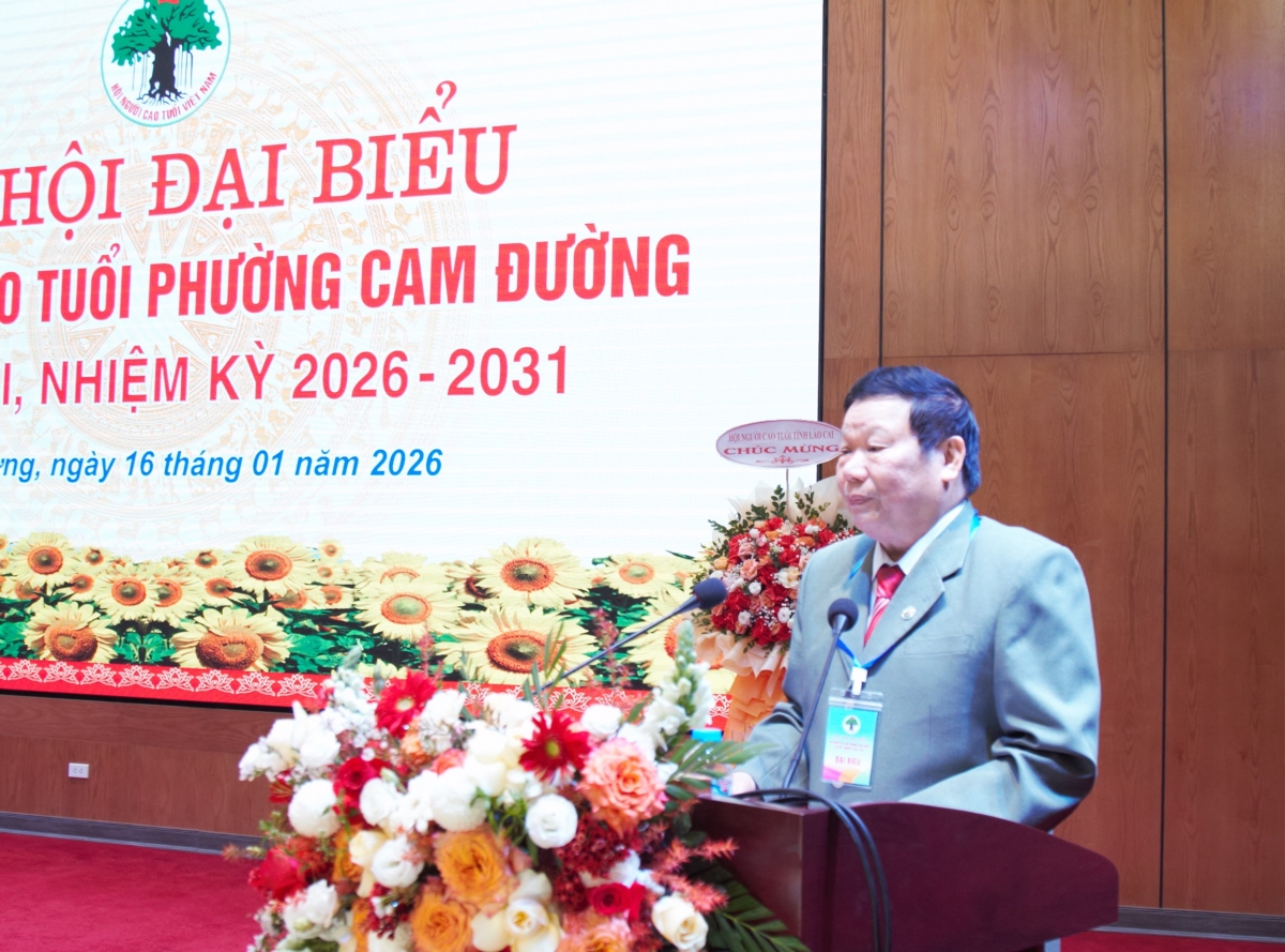 Tăng cường công tác người cao tuổi thích ứng với già hóa dân số Tăng cường công tác người cao tuổi thích ứng với già hóa dân số