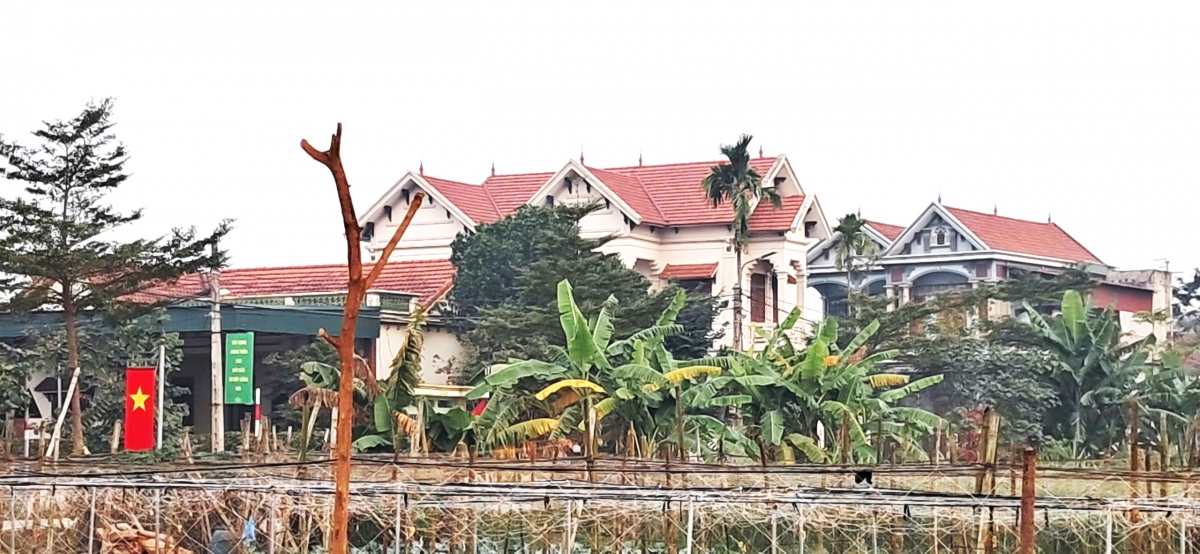 Quê hương Minh Châu ngày càng khởi sắc Quê hương Minh Châu ngày càng khởi sắc