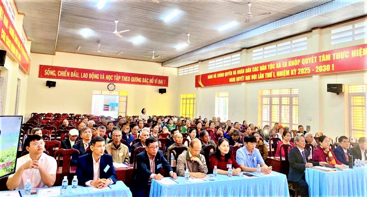 Nền tảng chăm sóc, phát huy vai trò NCT