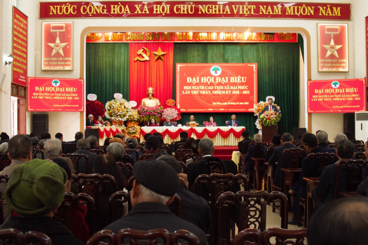 Kiện toàn tổ chức Hội NCT sau sáp nhập chính quyền địa phương hai cấp Kiện toàn tổ chức Hội NCT sau sáp nhập chính quyền địa phương hai cấp