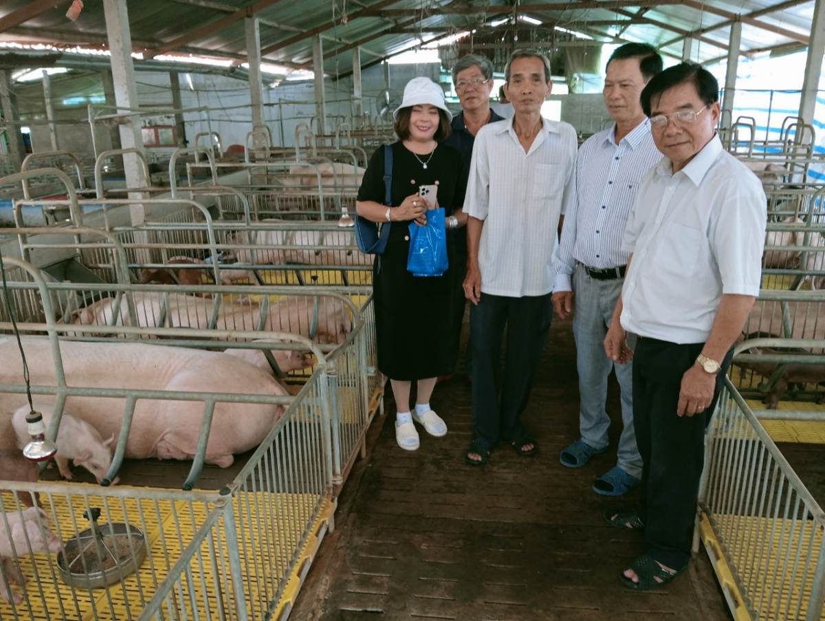Lãnh đạo Hội NCT tỉnh Đồng Tháp thăm mô hình chăn nuôi sinh học, tuần hoàn của gia đình ông Cao Văn Hoàng (1) Lãnh đạo Hội NCT tỉnh Đồng Tháp thăm mô hình chăn nuôi sinh học, tuần hoàn của gia đình ông Cao Văn Hoàng (1)