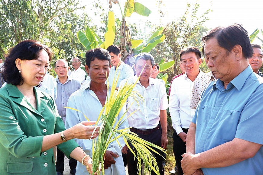 Mùa Xuân và người cao tuổi làm vườn Mùa Xuân và người cao tuổi làm vườn