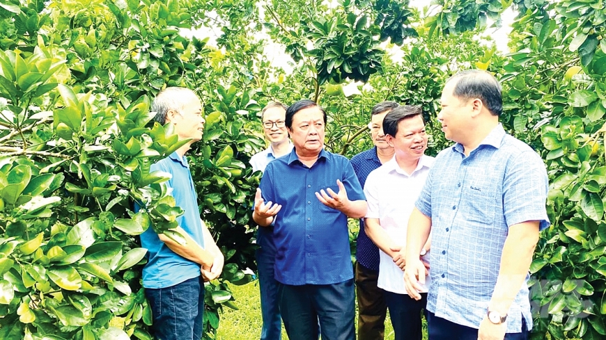 Mùa Xuân và người cao tuổi làm vườn Mùa Xuân và người cao tuổi làm vườn
