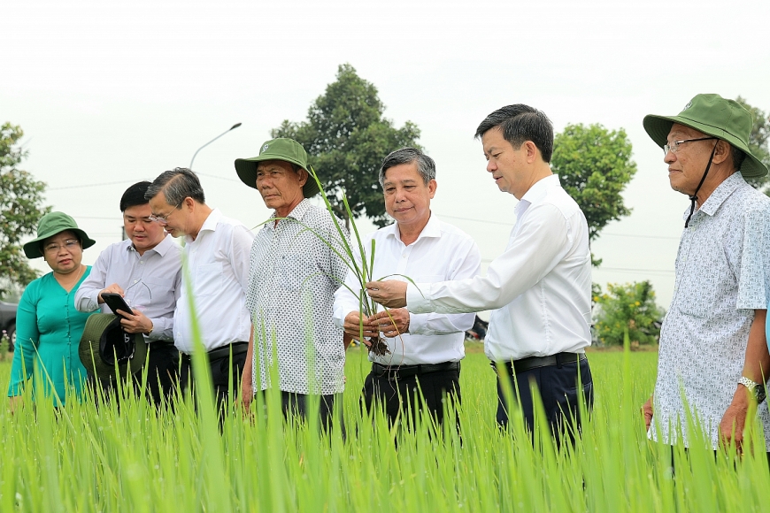 Lãnh đạo TP. Cần Thơ dự Lễ phát động “Tết trồng cây đời đời nhớ ơn Bác Hồ” và “Thăm đồng đầu năm mới” tại tuyến đường 926B, xã Tân Hòa, TP. Cần Thơ