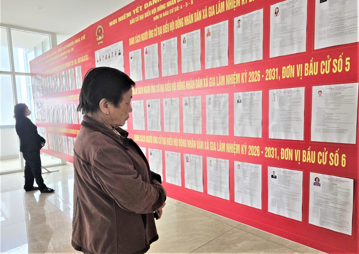 Cử tri cao tuổi nghiên cứu kỹ tiểu sử và các thông tin về ứng cử viên