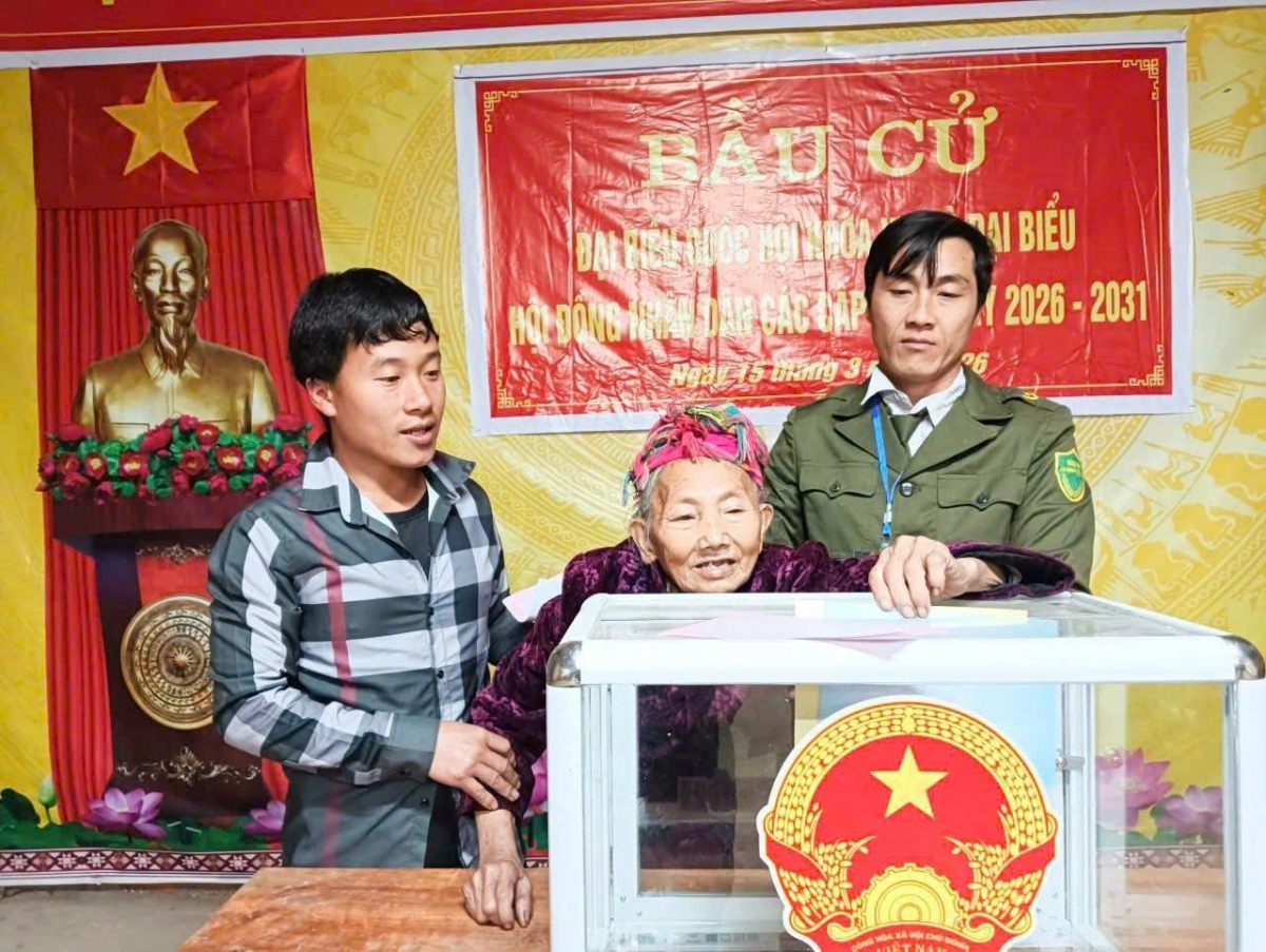 Lào Cai: Tỷ lệ cử tri đi bầu đạt 99,998% Lào Cai: Tỷ lệ cử tri đi bầu đạt 99,998%