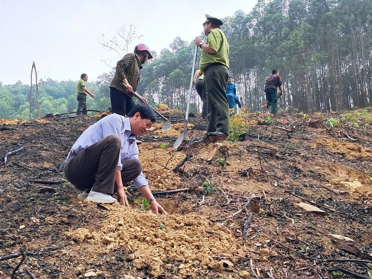 Các đại biểu tham gia trồng cây Các đại biểu tham gia trồng cây