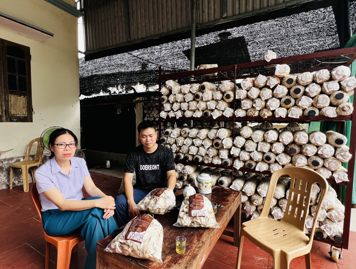 Anh Trần Văn Tuấn (người áo đen) chia sẻ về kinh nghiệm trồng nấm sò Anh Trần Văn Tuấn (người áo đen) chia sẻ về kinh nghiệm trồng nấm sò
