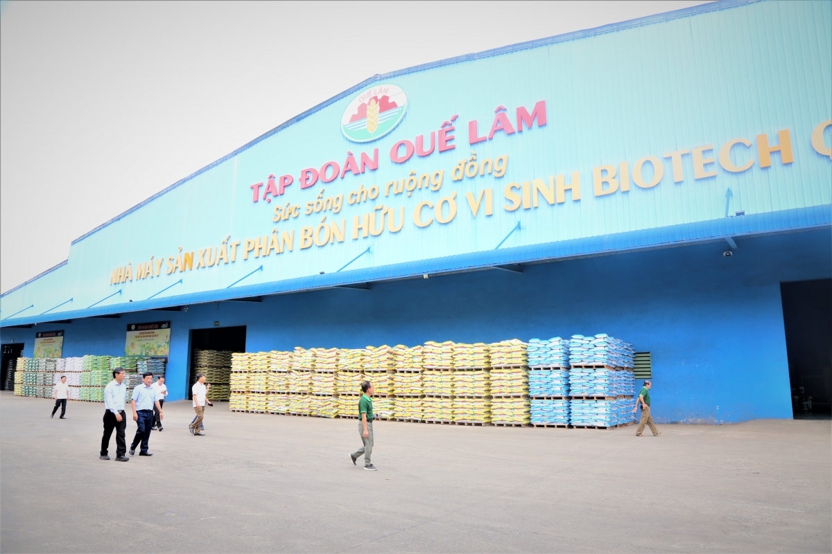 Người cao tuổi khơi dậy “mùa vàng” từ nông nghiệp hữu cơ Người cao tuổi khơi dậy “mùa vàng” từ nông nghiệp hữu cơ