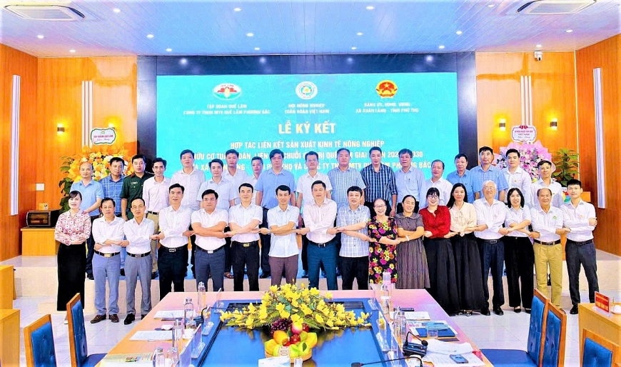 Tập đoàn Quế Lâm và xã Xuân Lãng (Phú Thọ) ký kết phối hợp liên kết sản xuất kinh tế nông nghiệp hữu cơ, tuần hoàn. Tập đoàn Quế Lâm và xã Xuân Lãng (Phú Thọ) ký kết phối hợp liên kết sản xuất kinh tế nông nghiệp hữu cơ, tuần hoàn.