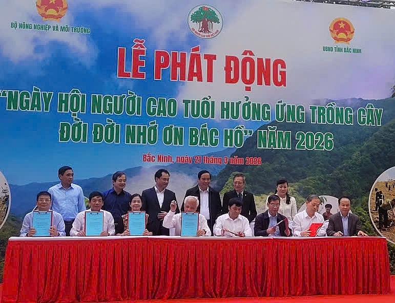 Lan tỏa phong trào trồng cây, góp phần bảo vệ môi trường Lan tỏa phong trào trồng cây, góp phần bảo vệ môi trường