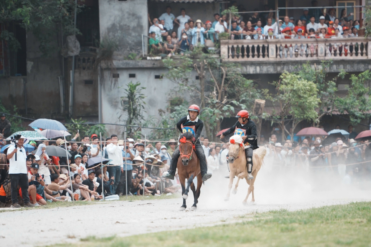 Khai mạc Festival Cao nguyên trắng Bắc Hà 2026 với chủ đề “Vang xa vó ngựa cao nguyên” Khai mạc Festival Cao nguyên trắng Bắc Hà 2026 với chủ đề “Vang xa vó ngựa cao nguyên”