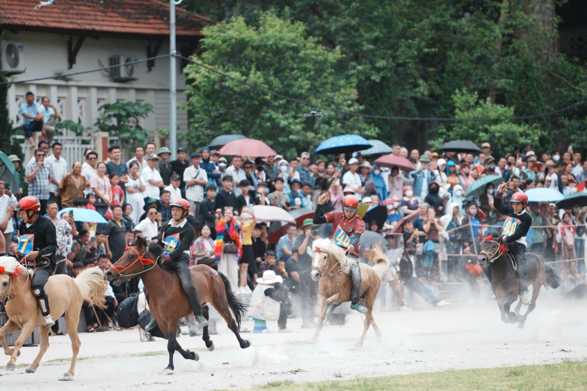 Khai mạc Festival Cao nguyên trắng Bắc Hà 2026 với chủ đề “Vang xa vó ngựa cao nguyên” Khai mạc Festival Cao nguyên trắng Bắc Hà 2026 với chủ đề “Vang xa vó ngựa cao nguyên”