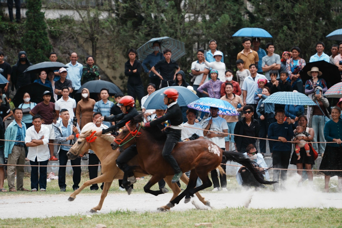 Khai mạc Festival Cao nguyên trắng Bắc Hà 2026 với chủ đề “Vang xa vó ngựa cao nguyên” Khai mạc Festival Cao nguyên trắng Bắc Hà 2026 với chủ đề “Vang xa vó ngựa cao nguyên”