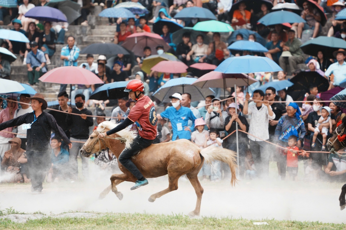Khai mạc Festival Cao nguyên trắng Bắc Hà 2026 với chủ đề “Vang xa vó ngựa cao nguyên” Khai mạc Festival Cao nguyên trắng Bắc Hà 2026 với chủ đề “Vang xa vó ngựa cao nguyên”