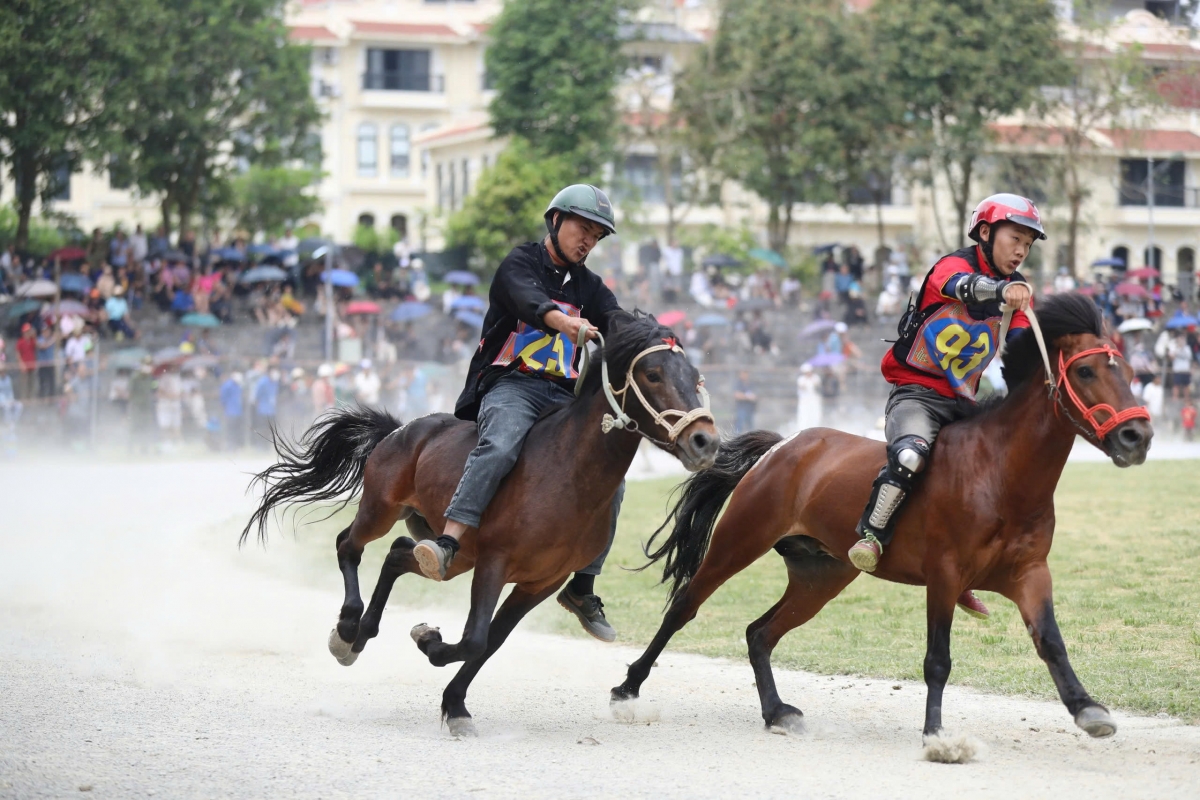 Khai mạc Festival Cao nguyên trắng Bắc Hà 2026 với chủ đề “Vang xa vó ngựa cao nguyên” Khai mạc Festival Cao nguyên trắng Bắc Hà 2026 với chủ đề “Vang xa vó ngựa cao nguyên”