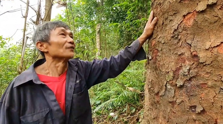Chuyện người biến đất cằn thành rừng xanh bền vững Chuyện người biến đất cằn thành rừng xanh bền vững