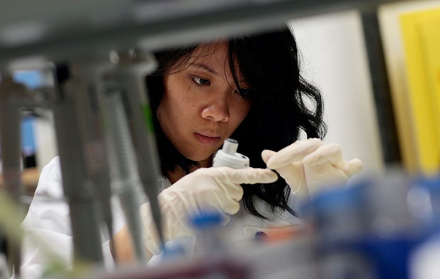 Một nhân viên phòng thí nghiệm tách DNA từ các mẫu để phục vụ thử nghiệm vaccine phòng HIV tại Phòng Thí nghiệm Phát triển và thiết kế vaccine AIDS ở New York City năm 2008. Ảnh:Getty Images Một nhân viên phòng thí nghiệm tách DNA từ các mẫu để phục vụ thử nghiệm vaccine phòng HIV tại Phòng Thí nghiệm Phát triển và thiết kế vaccine AIDS ở New York City năm 2008. Ảnh:Getty Images