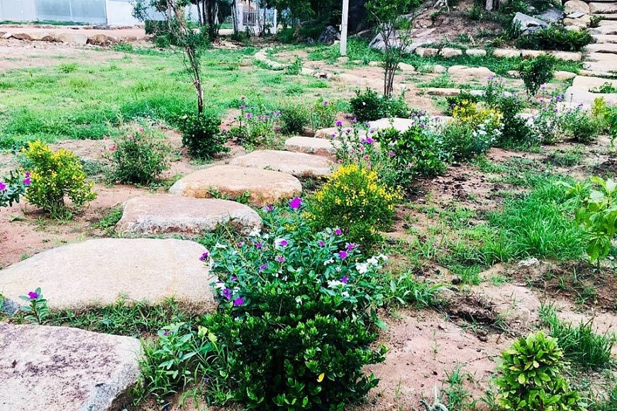 Vượt 400km đến thăm chồng, vợ sững sờ thấy cảnh trong vườn Vượt 400km đến thăm chồng, vợ sững sờ thấy cảnh trong vườn