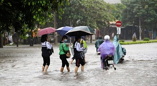 Từ chiều nay, học sinh Đà Nẵng nghỉ học phòng tránh bão số 9 
