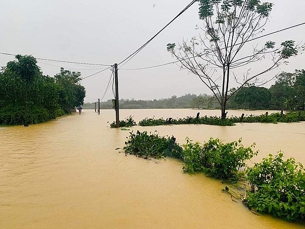 Xã Thanh Tùng đang bị nước bao vây tứ phía. Xã Thanh Tùng đang bị nước bao vây tứ phía.