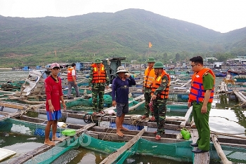 Bình Định dự kiến di dời hơn 1.000 hộ dân vùng ven biển tránh bão số 10