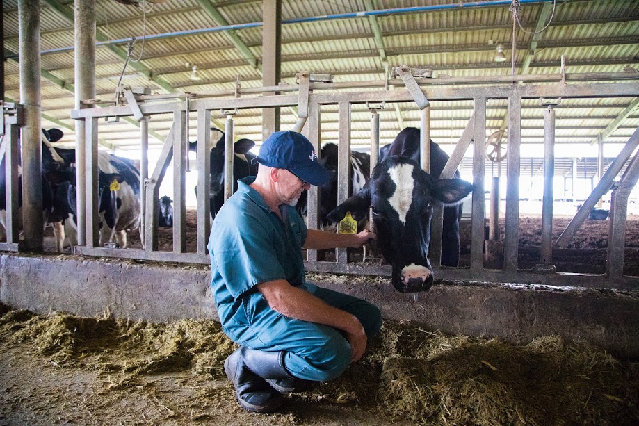 Chuy&ecirc;n gia nước ngo&agrave;i trực tiếp thực hiện v&agrave; gi&aacute;m s&aacute;t qu&aacute; tr&igrave;nh t&aacute;ch đ&agrave;n b&ograve; A2 tại TH..