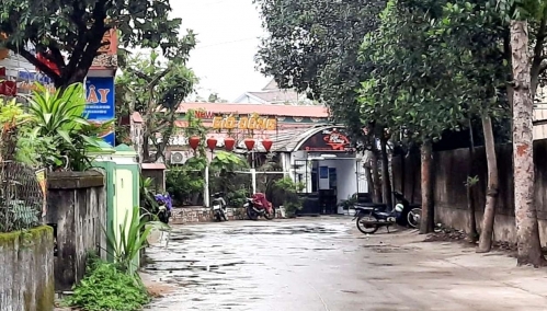 Thừa Thiên Huế: Bị phạt 10 triệu đồng vì kinh doanh động vật rừng trái phép.