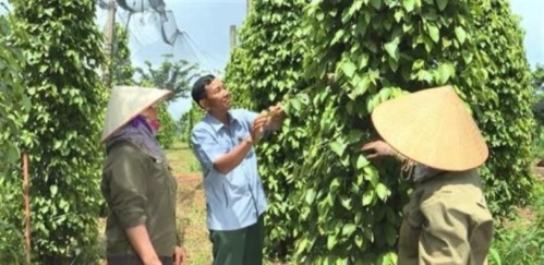 Những dũng sĩ trên mặt trận "không tiếng súng"