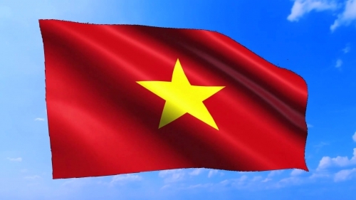 Bị khởi tố vì có hành vi ‘xúc phạm quốc kỳ’