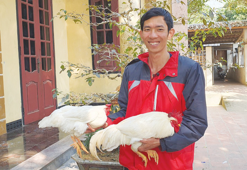 Anh Đức v&agrave; đ&ocirc;i g&agrave; nhiều cựa.