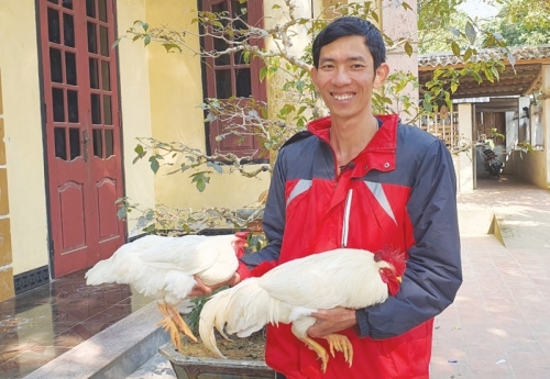 “Bước ra” từ...   truyền thuyết