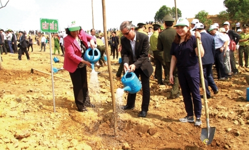 Ngày Xuân nhớ lời Bác dạy Tết trồng cây