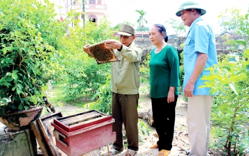 Làm giàu nhờ nuôi ong