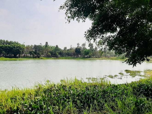 Bình Dương: Ăn nhậu trong công viên, 2 thanh niên tử nạn dưới hồ
