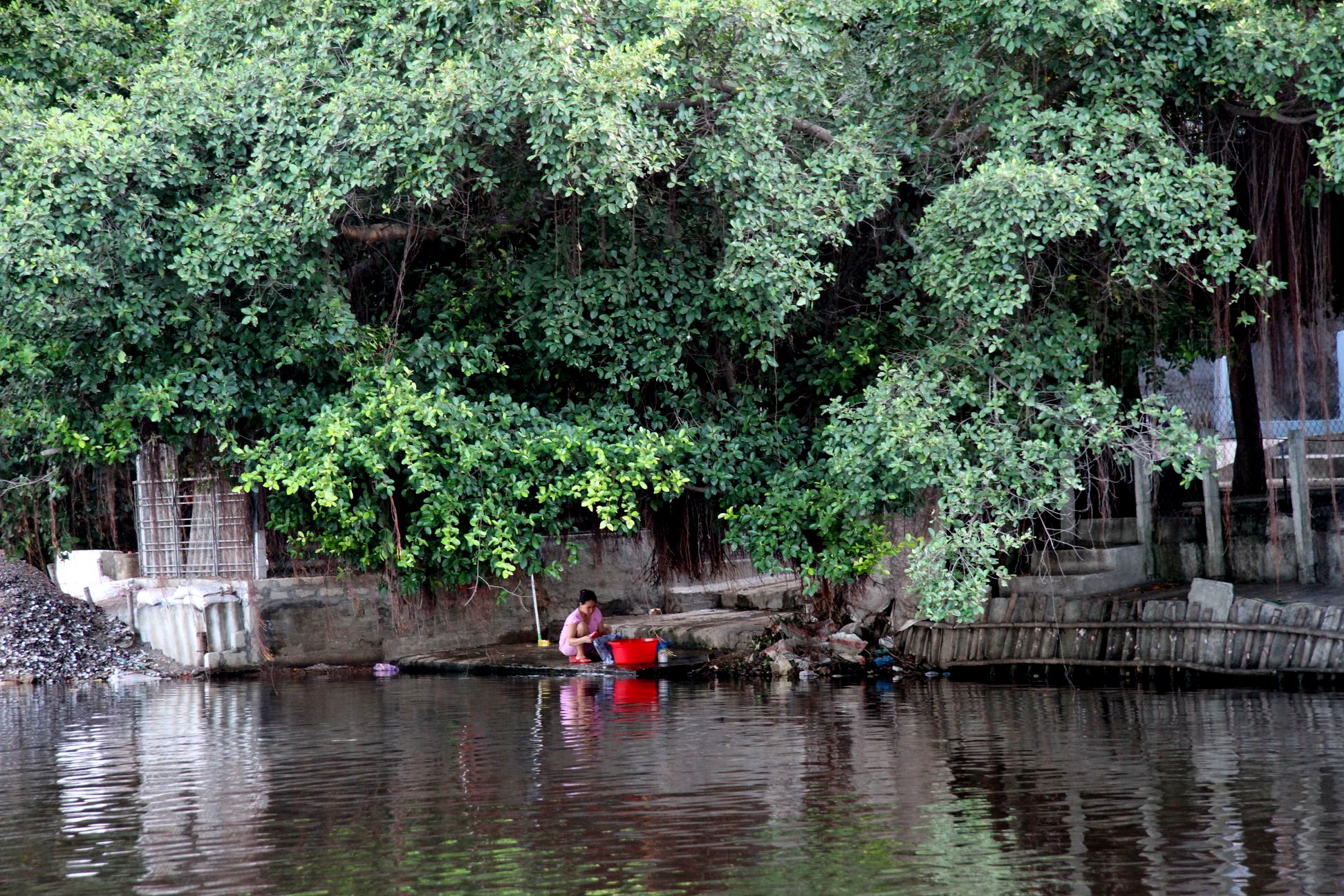 C&acirc;y xanh b&ecirc;n bờ s&ocirc;ng Hương