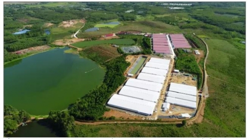 Dabaco bị phạt 300 triệu đồng do vi phạm bảo vệ môi trường