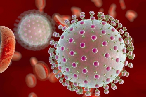 Tìm thấy protein “khắc tinh” của nhiều loại virus