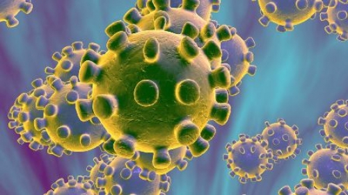 Nhà virus học Nga chỉ ra cơ chế xâm nhập 'đặc biệt' của Coronavirus