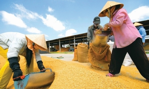 Tầm nhìn đáng lo ngại