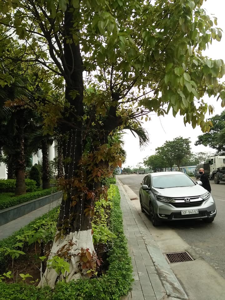 M&acirc;̃u CRV của Honda. (Ảnh: Q.H)