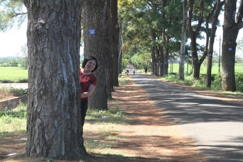 Nơi ấy có anh…